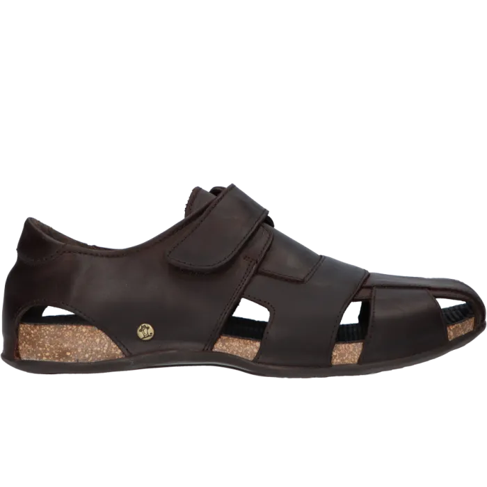 Panama Jack Fletcher Basics C1