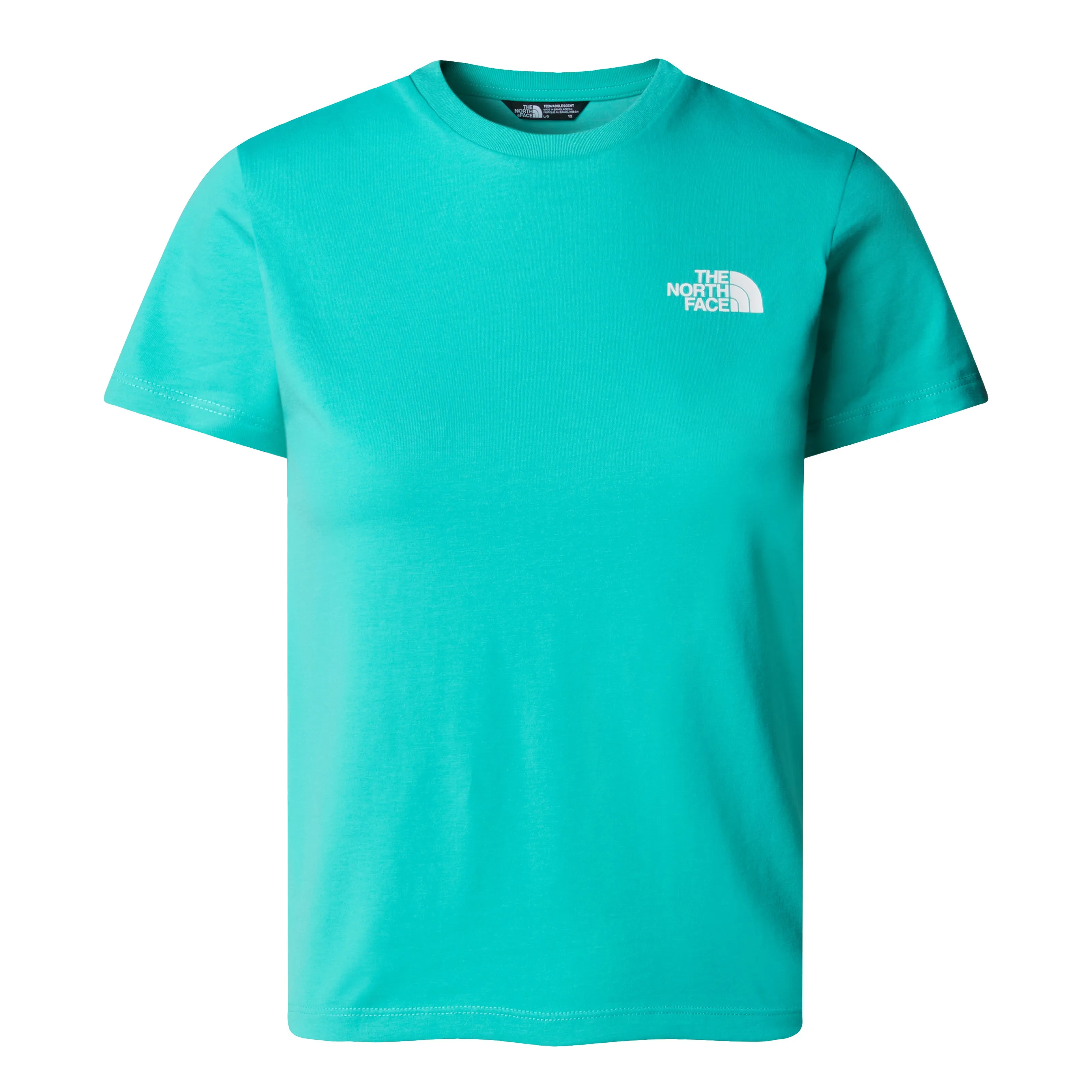 THE NORTH FACE SIMPLE DOME TSHIRT